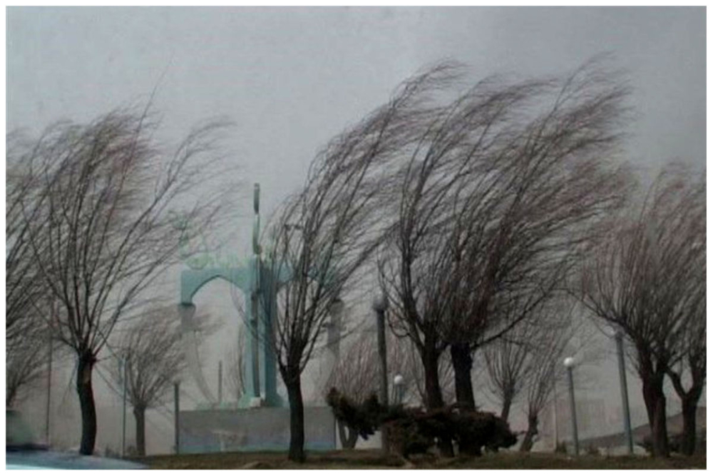 باران‌های موسمی در پاکستان قربانی گرفت