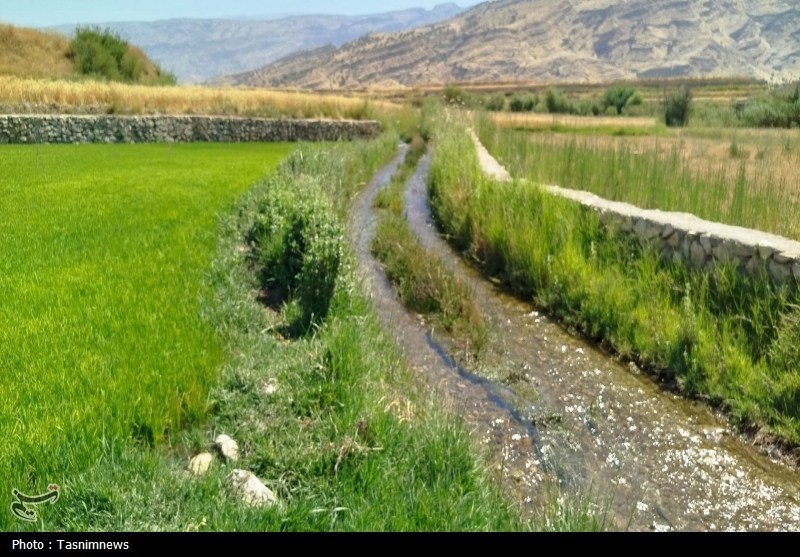 خسارت زیرساختی به قطب کشاورزی چرام+فیلم