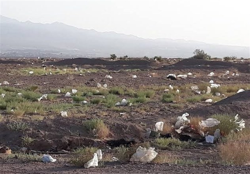 پلاستیک‌های سرگردان در ورودی بیرجند؛ زنگ خطر برای شهر پاک کویر