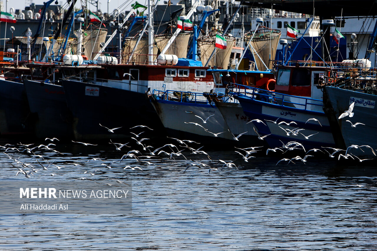 توقف حرکت کشتی‌ها به بنادر ایران و بالعکس تکذیب شد