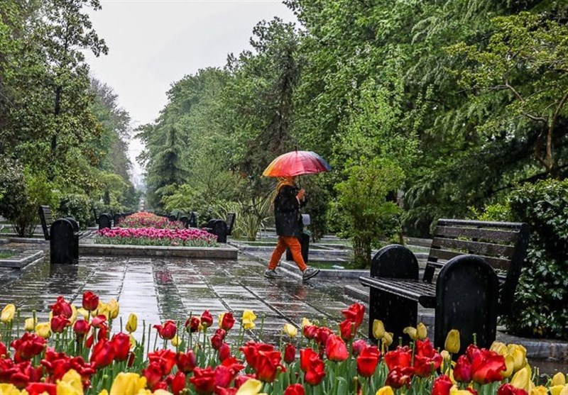 رشد 35 درصدی بارش در لرستان/ معمولان در صدر بارندگی