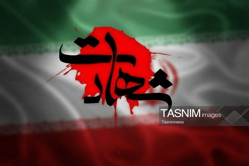 صدور دستور قضایی برای رسیدگی فوری به شهادت مأمور فراجا