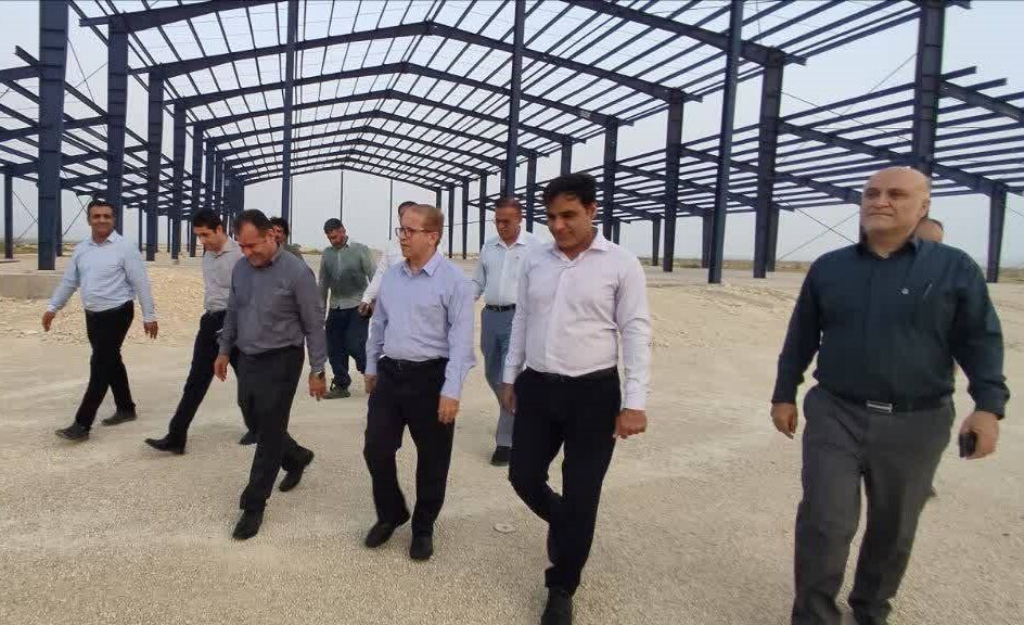 معاون استاندار بوشهر: تولیدکنندگان حمایت می شوند